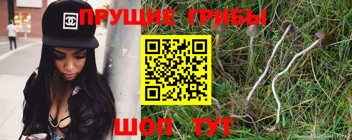 Псилоцибиновые грибы MAGIC MUSHROOMS Егорьевск
