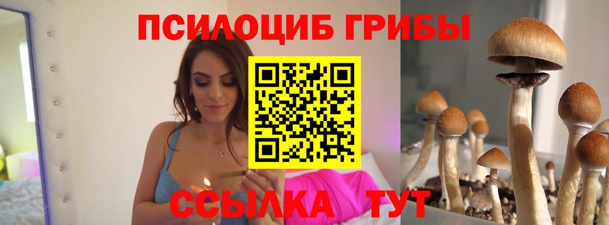 Галлюциногенные грибы ЛСД  Псилоцибиновые грибы GOLDEN TEACHER  Вход с VPN  Егорьевск 